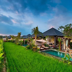 Bliss **** Ubud